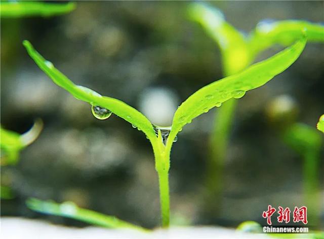 快播超级影院_快播365_快播ceo