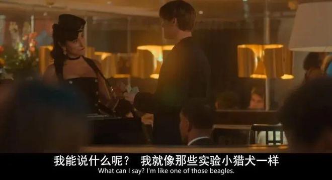 布拉德弗洛_夏提雅·布拉德弗伦_夏提雅·布拉德弗伦