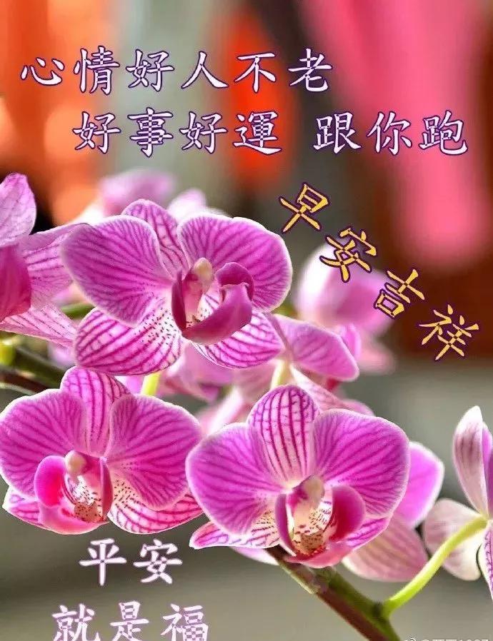 政圈妲己补血口服液免费阅读_政协_阿政