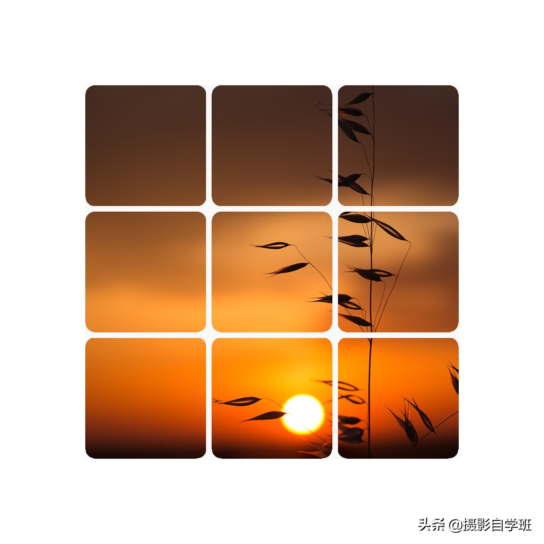 秀秀发型_美图秀秀app染发功能在哪_手机美图秀秀怎么染发