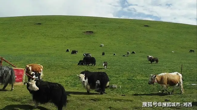 疫情卡通图画_疫情卡通图_疫情期间手机游戏图片卡通