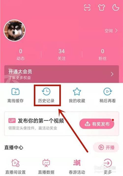 b站查看记录评论有记录吗_b站怎么查看自己的评论记录_b站的评论记录
