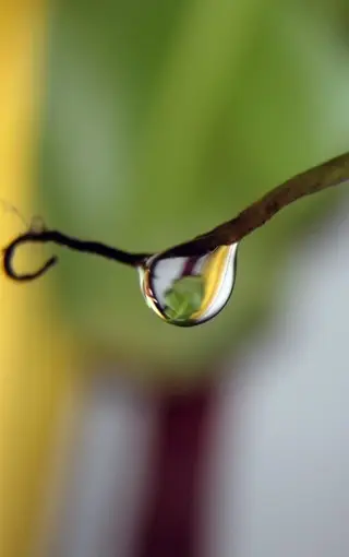 帆风润子_帆风润子lv5_帆风润子壁纸