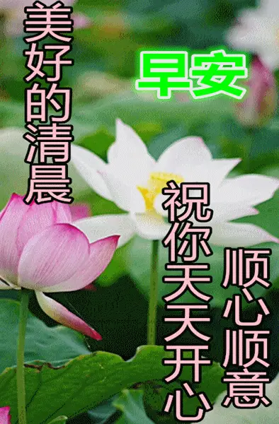 舔屏幕的手机游戏_舔屏幕手机游戏有哪些_舔屏幕手机游戏怎么玩