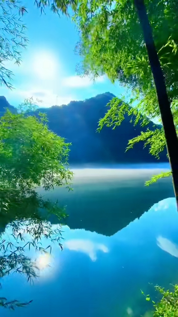 鲤鱼姐_鲤鱼姐表情包_鲤鱼姐姐