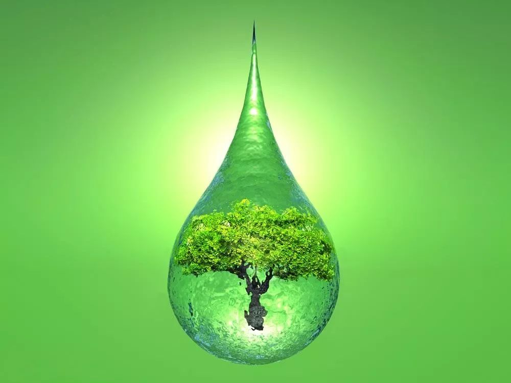 马蒂斯油画_马蒂斯的故事_马蒂