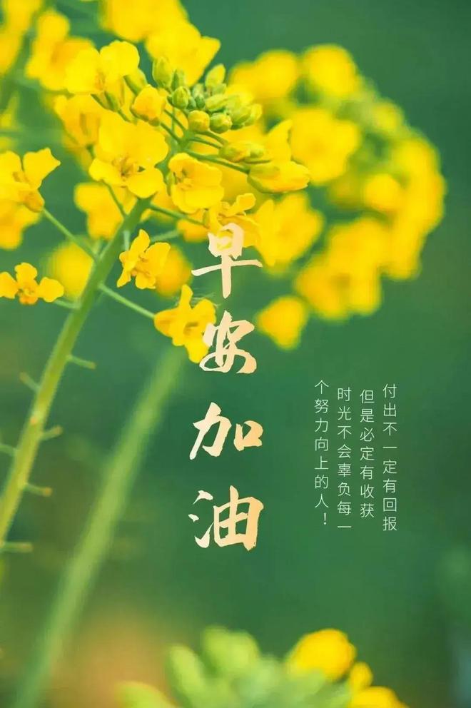 结拉村_拉结尔_结拉龟