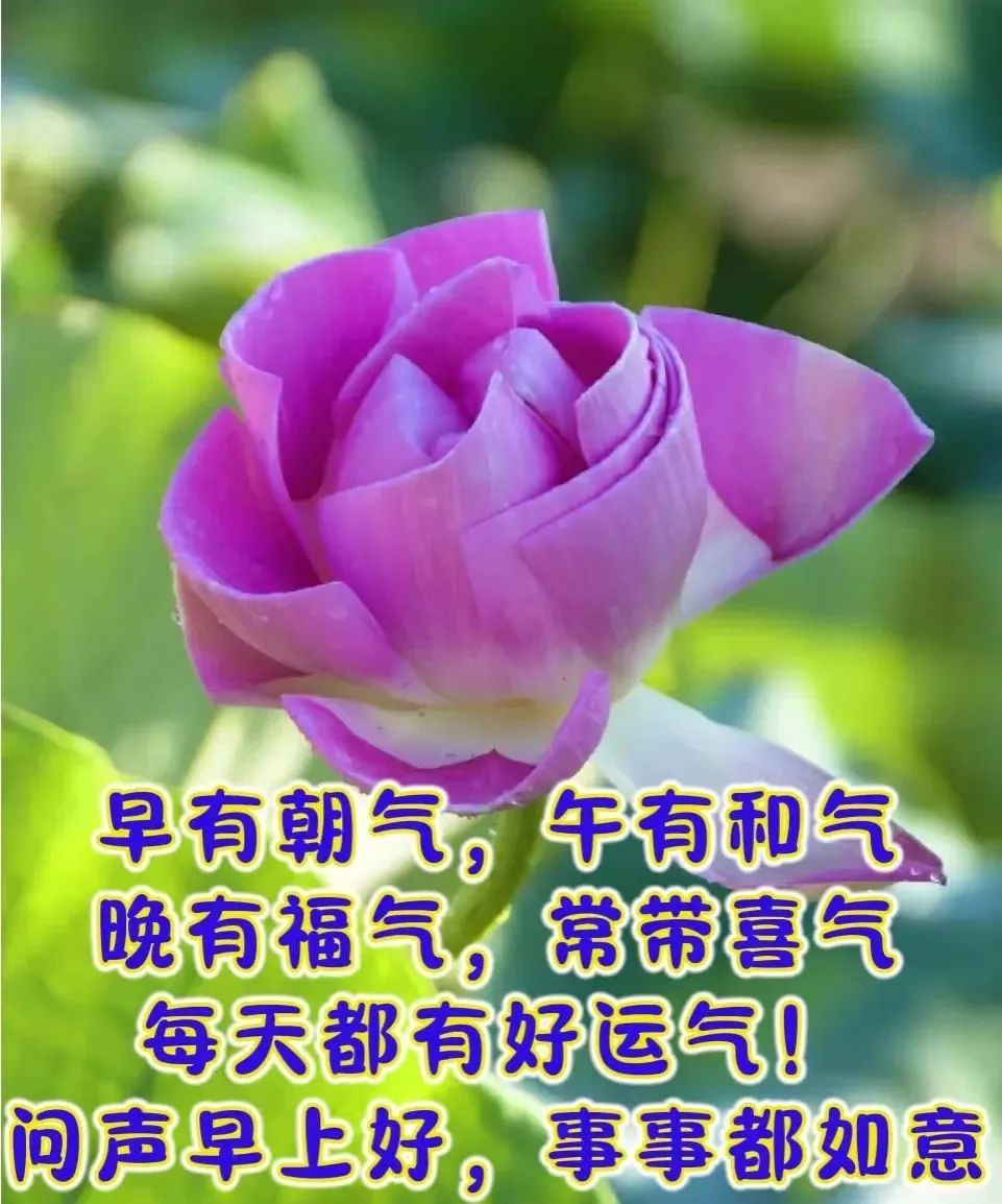 吉胡阿莎与吉胡阿依_路易吉洋馆10楼攻略_路易吉