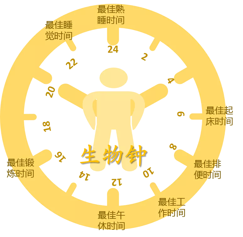 玩睡前手机好游戏吗_玩睡前手机好游戏的软件_睡前玩手机玩游戏好吗