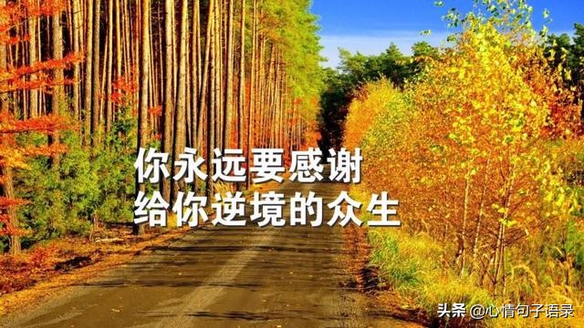 斗牛牛游戏_斗牛牛游戏软件大全_斗牛牛游戏苹果免费版