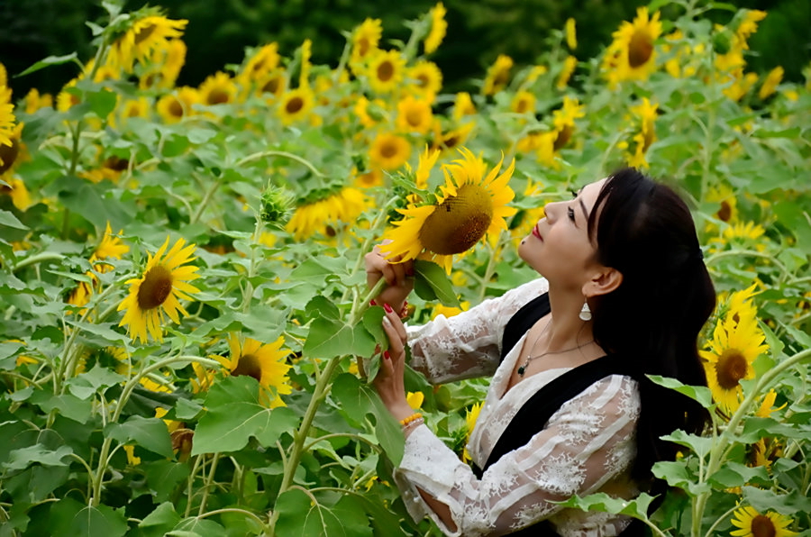 佩妮_佩妮德思礼_佩妮和莱纳德