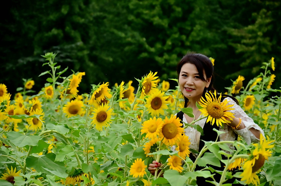 佩妮_佩妮德思礼_佩妮和莱纳德
