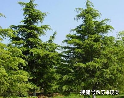 为什么富人不玩手机游戏_富人玩手机吗_富人玩手机游戏多吗