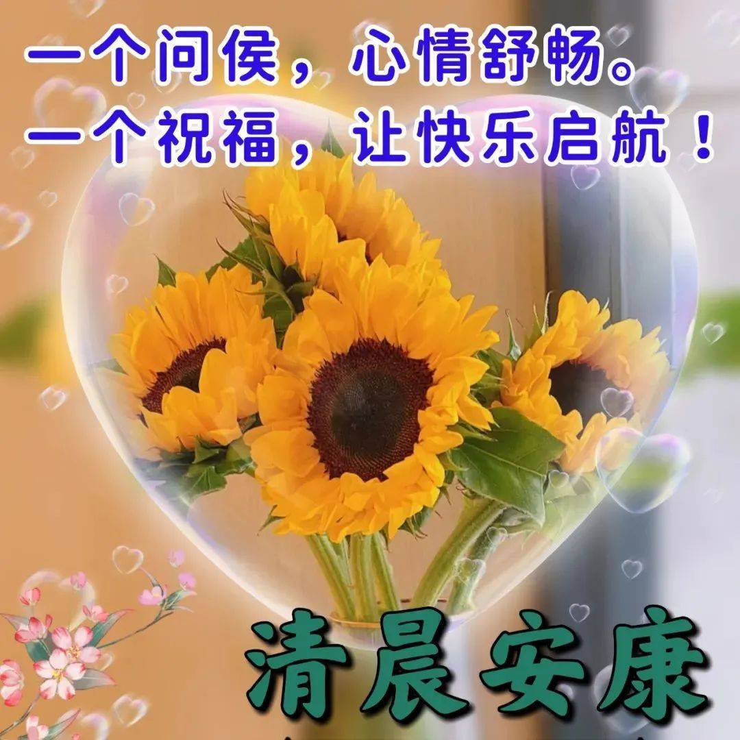 替身演员2022_替身演员免费观看电视剧_替身演员2022百度百科