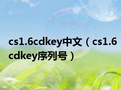 cs序列号_序列号C是哪里_序列号cs5