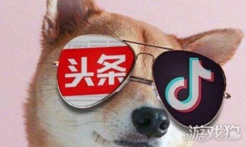 抖音涨粉丝怎么赚钱_抖音如何快速涨粉丝1000_抖音涨粉丝赚钱吗