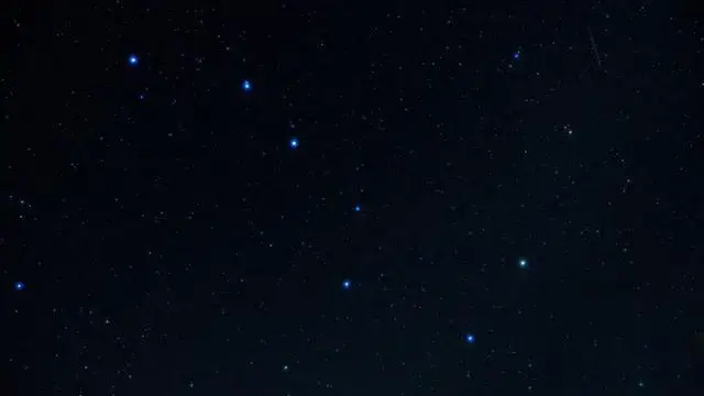 伴星_伴星引力by文盲土拨鼠_伴星小说