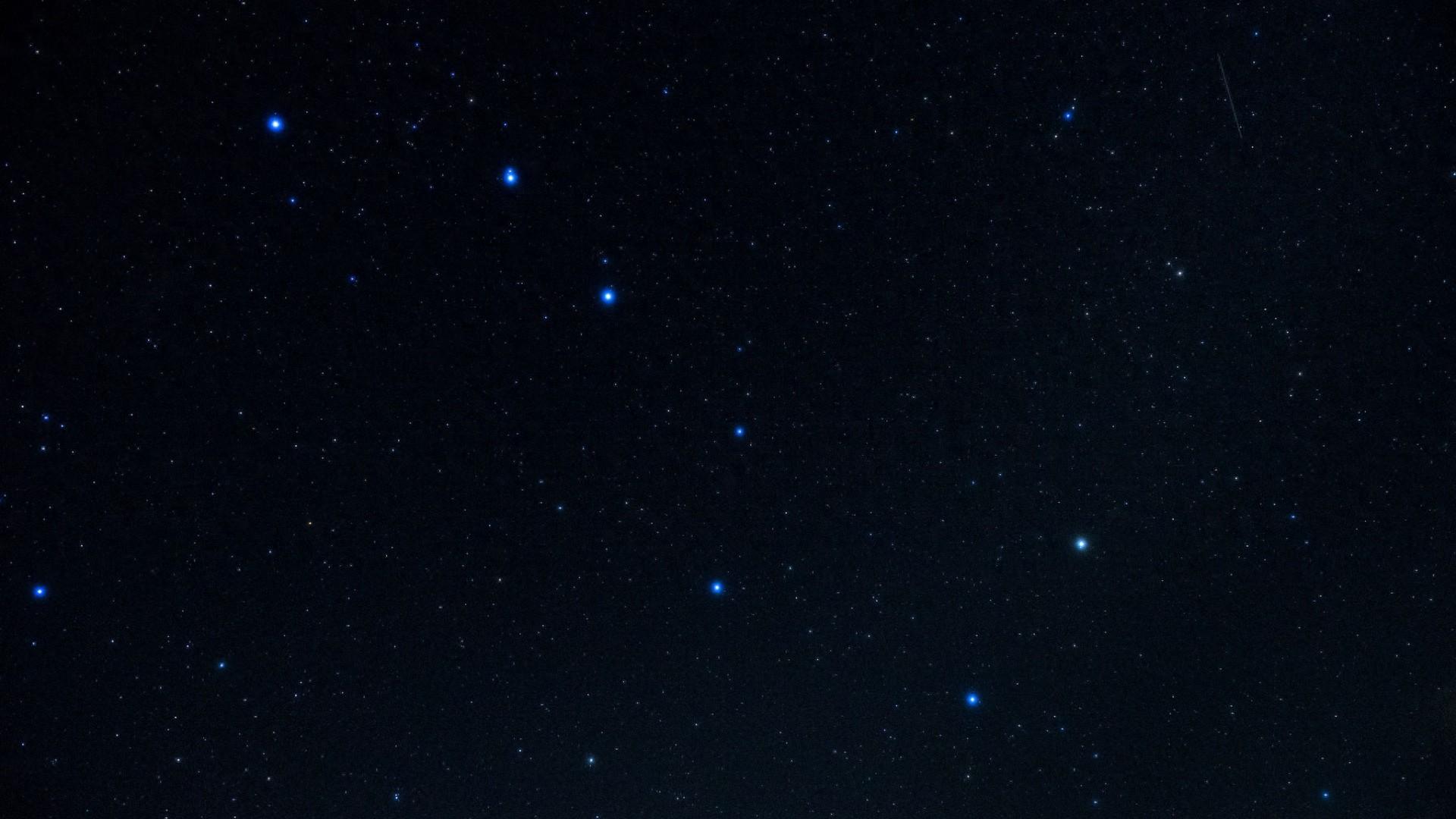 伴星小说_伴星_伴星引力by文盲土拨鼠