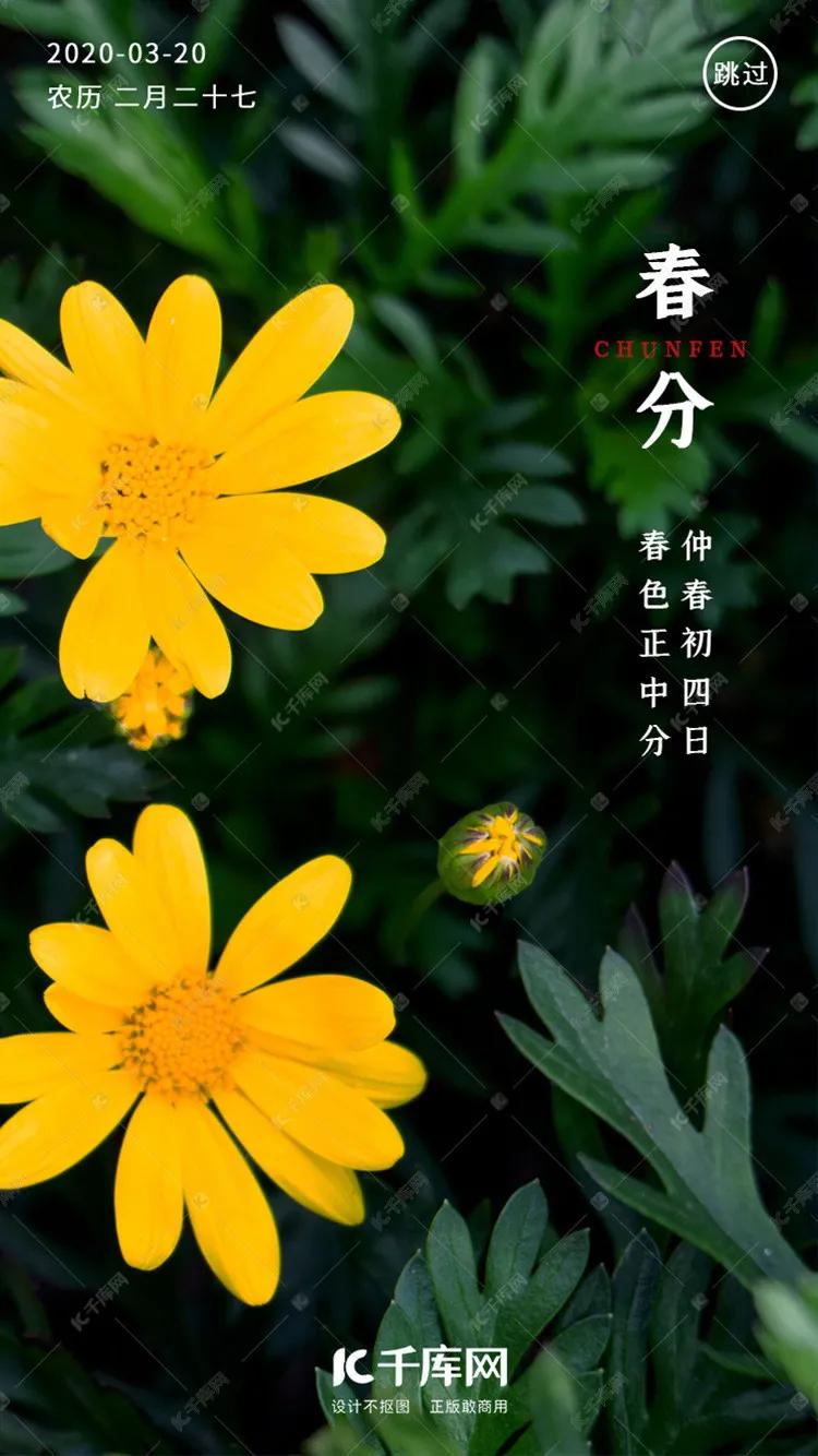 3月21_月夜忆舍弟唐杜甫_月经不来是什么原因