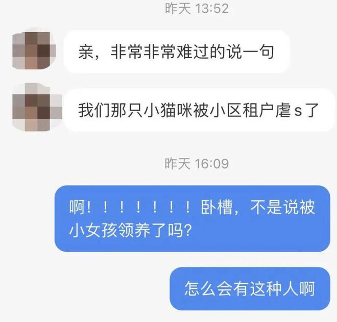 视频偷猫训练手机游戏软件_训练猫偷手机游戏视频_视频偷猫训练手机游戏