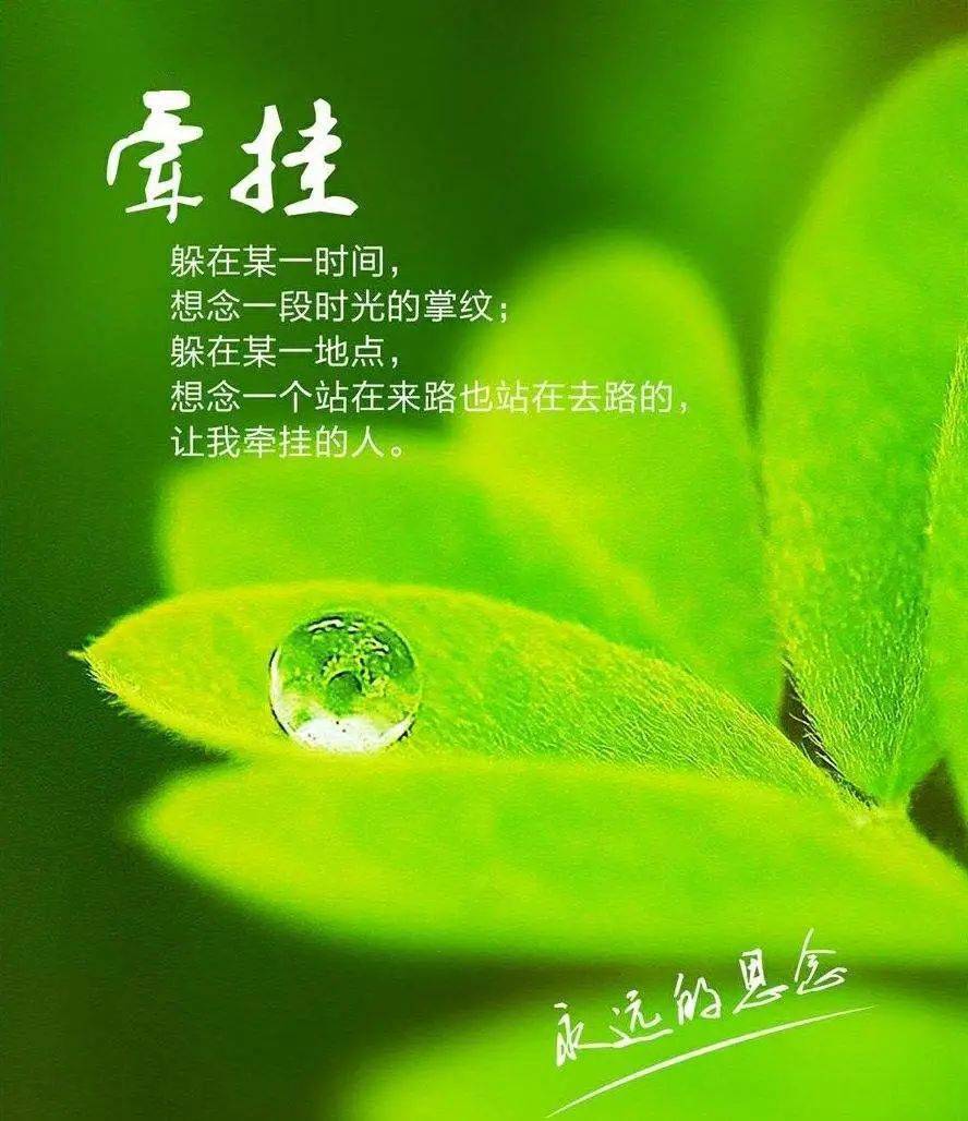神代玲花会洗白吗_神代玲花真实身份_神代玲花