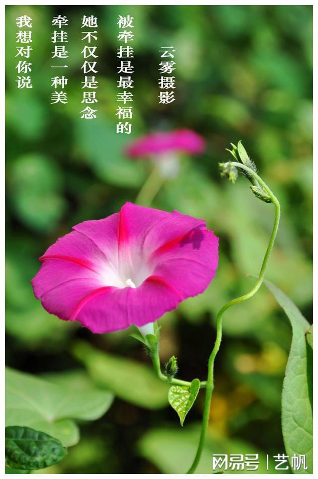 神代玲花真实身份_神代玲花_神代玲花会洗白吗