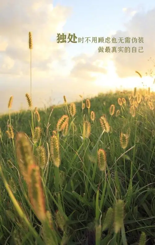推荐意愿是什么意思_推荐意思是什么_推荐是什么意思