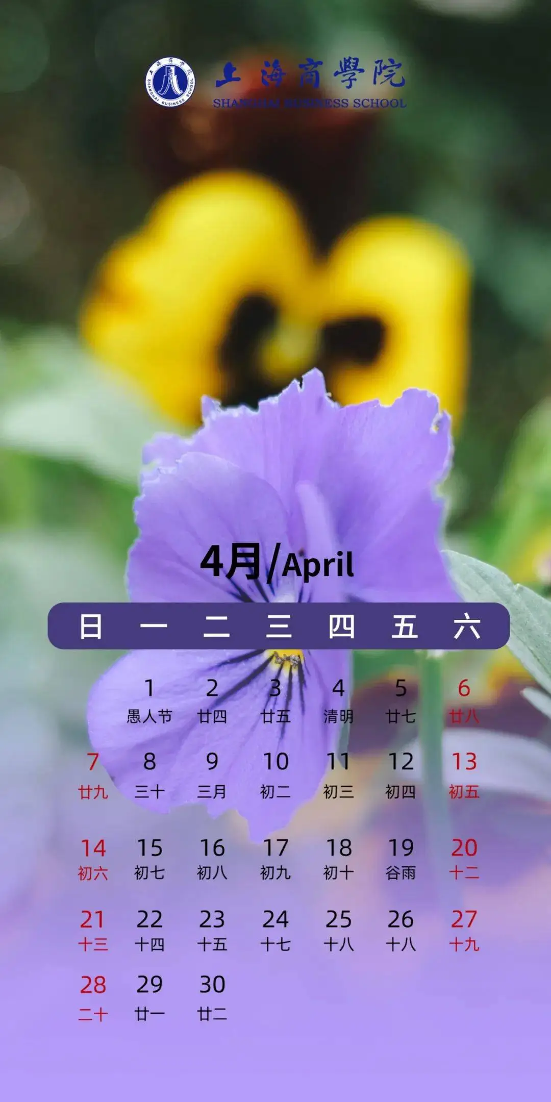 日历月是什么意思_3月日历_日历月份英文缩写