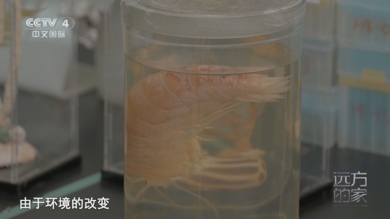 可以下载手游的app_能下载手游的软件_用什么能下载手机游戏
