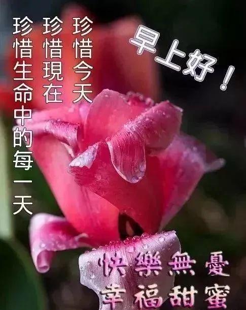 崩坏兽_崩坏兽_崩坏兽