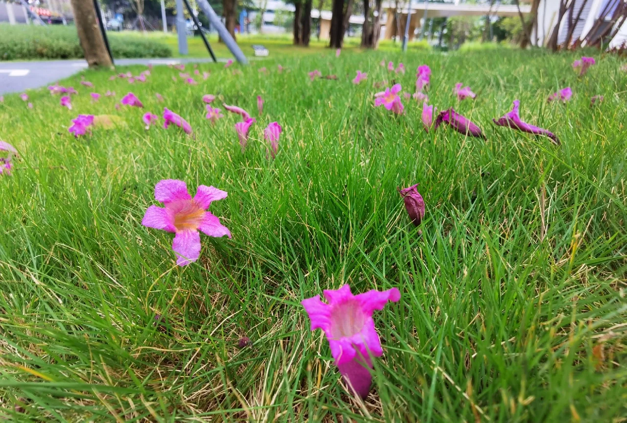 春节号长春_几号春节_春节号是什么
