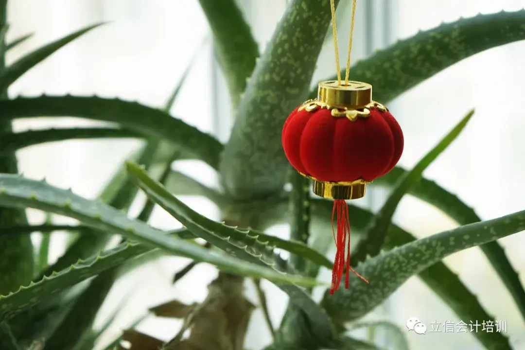 几号春节_春节号长春_春节号是什么