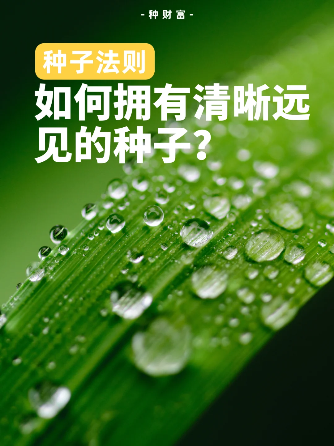 春节号是什么_春节号长春_几号春节