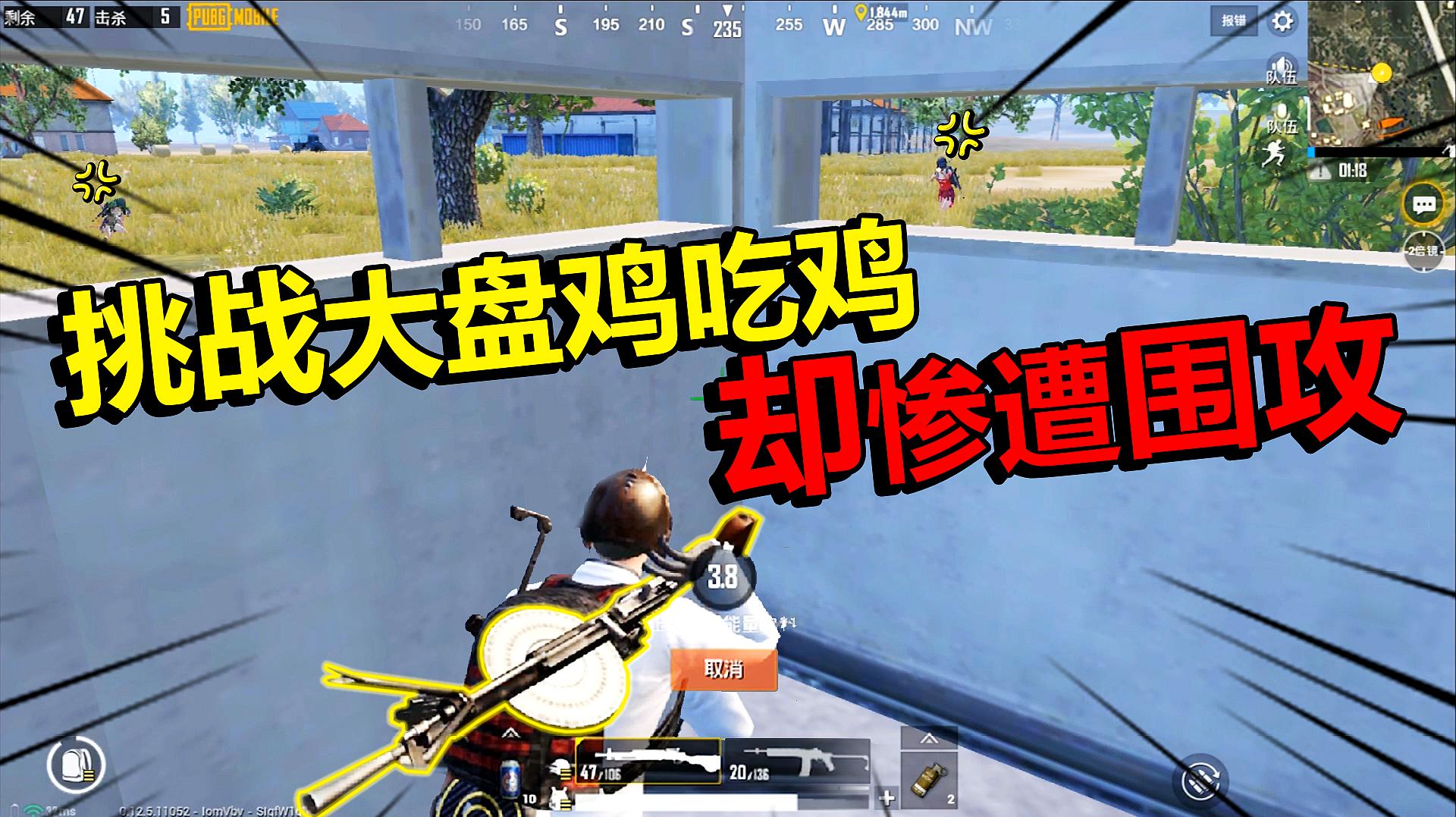 下载游戏和平吃鸡手机版_和平精英吃鸡下载安装_帮我玩一下和平鸡