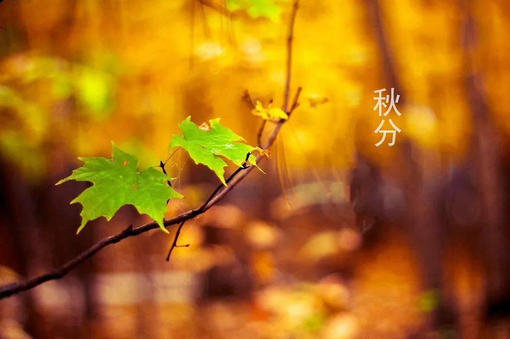闲逸游戏平台_闲逸推荐手机游戏_闲逸游戏推荐手机
