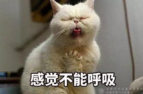 过度呼吸dm_呼吸过度最猛的一次车_过度呼吸时怎么办