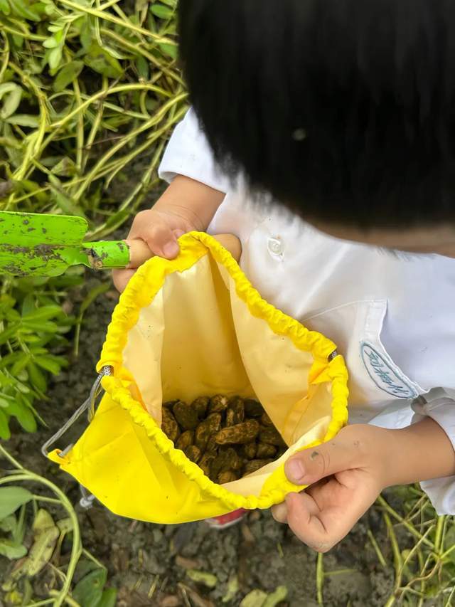 体验自然手机游戏有哪些_自然体验手机游戏_体验自然手机游戏怎么玩