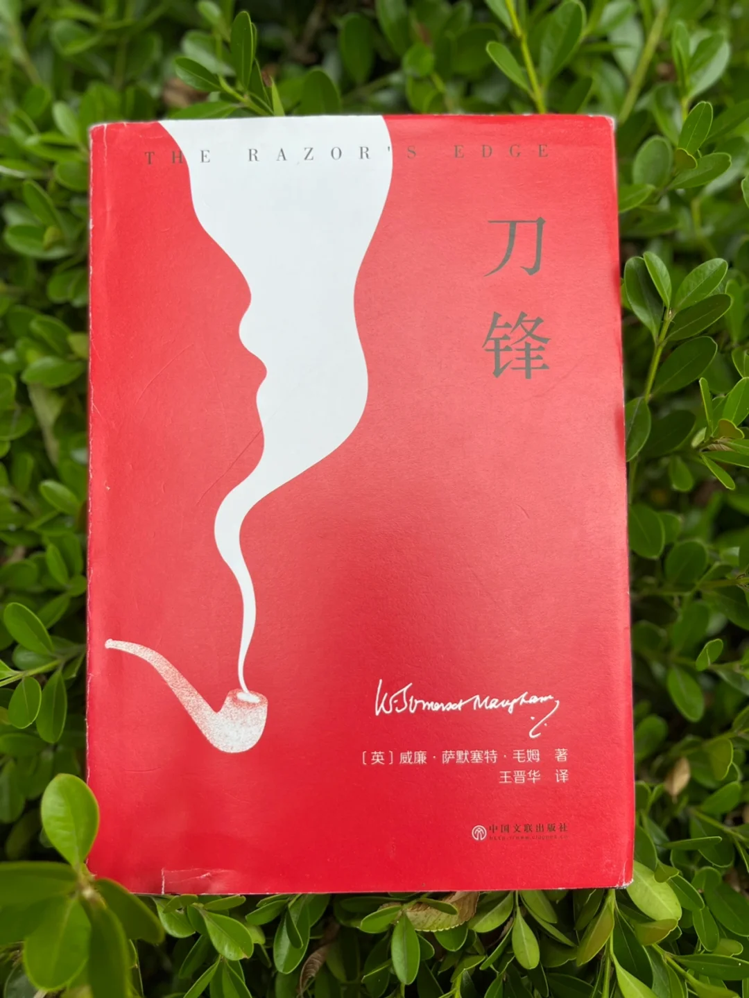 奥菲利娅_奥菲莉亚_奥菲莉娅