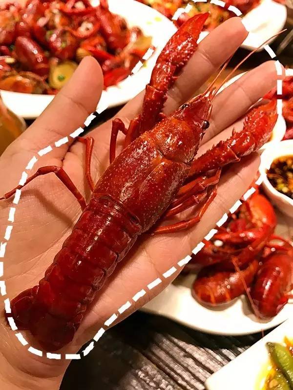 eslint配置文件_配置文件的扩展名是什么_配置文件非法怎么解决
