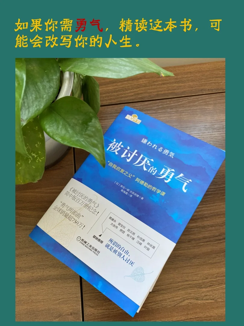 多力特的奇幻冒险_特力多的奇幻冒险国语_力特的奇幻冒险