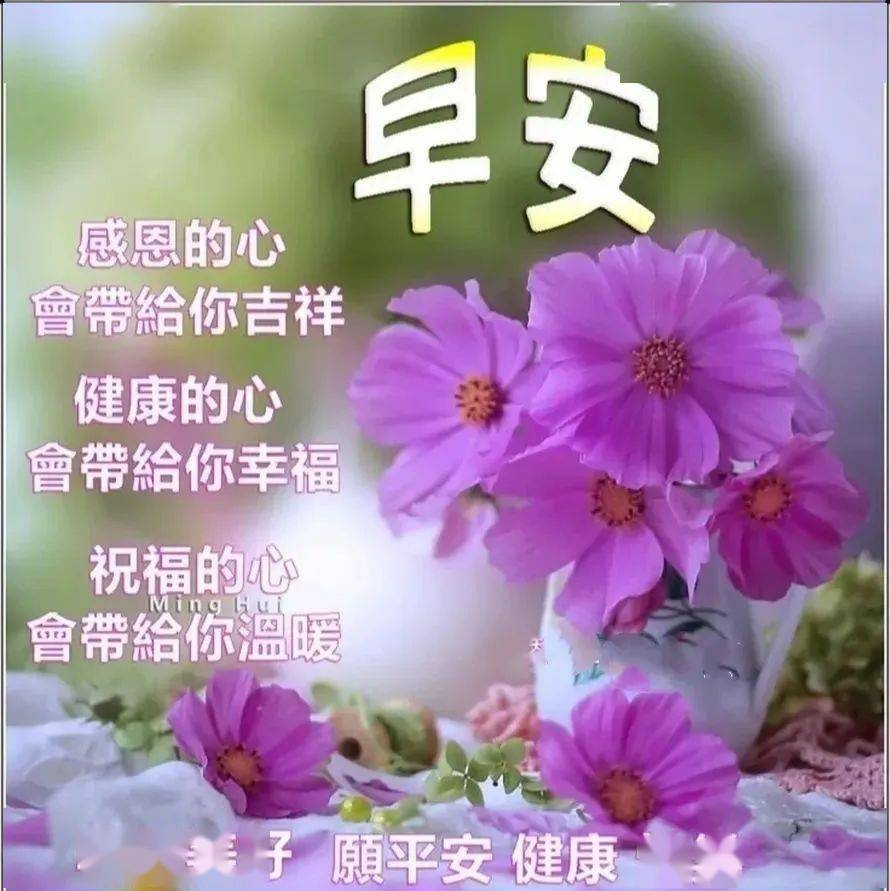 温暖的甜蜜的电视剧免费观看全集完整版_甜蜜电视剧12集_播放甜蜜电视剧全集
