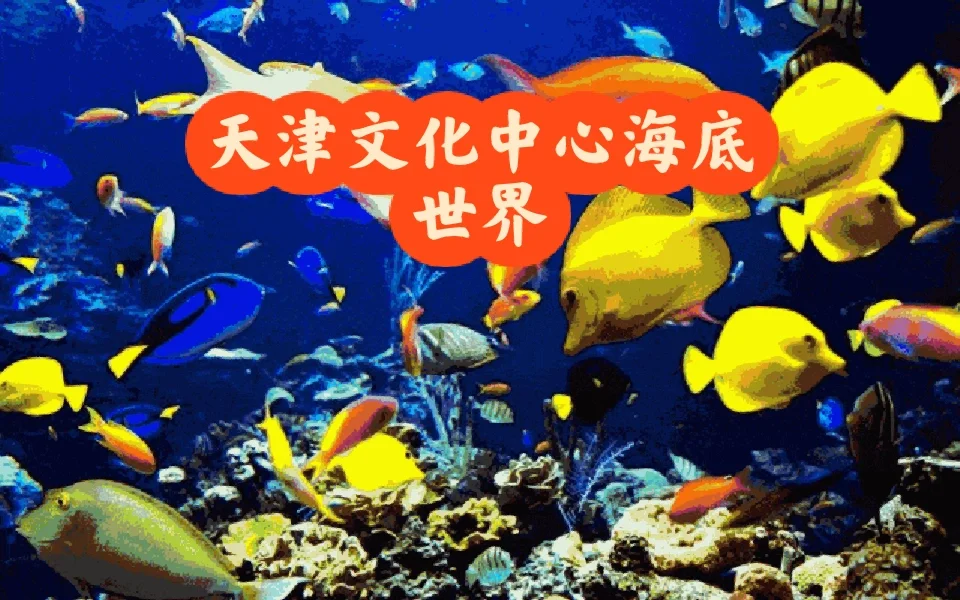 万国志图片壁纸大全_万国图志_万国志图片壁纸