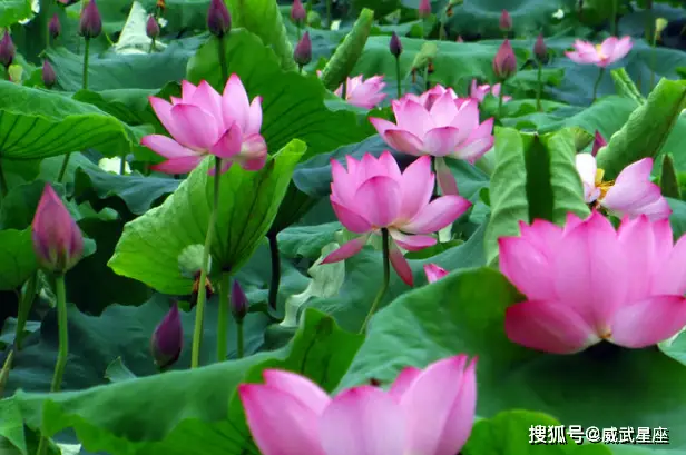 职场攻略电视剧_职场攻略手册_手机职场游戏攻略