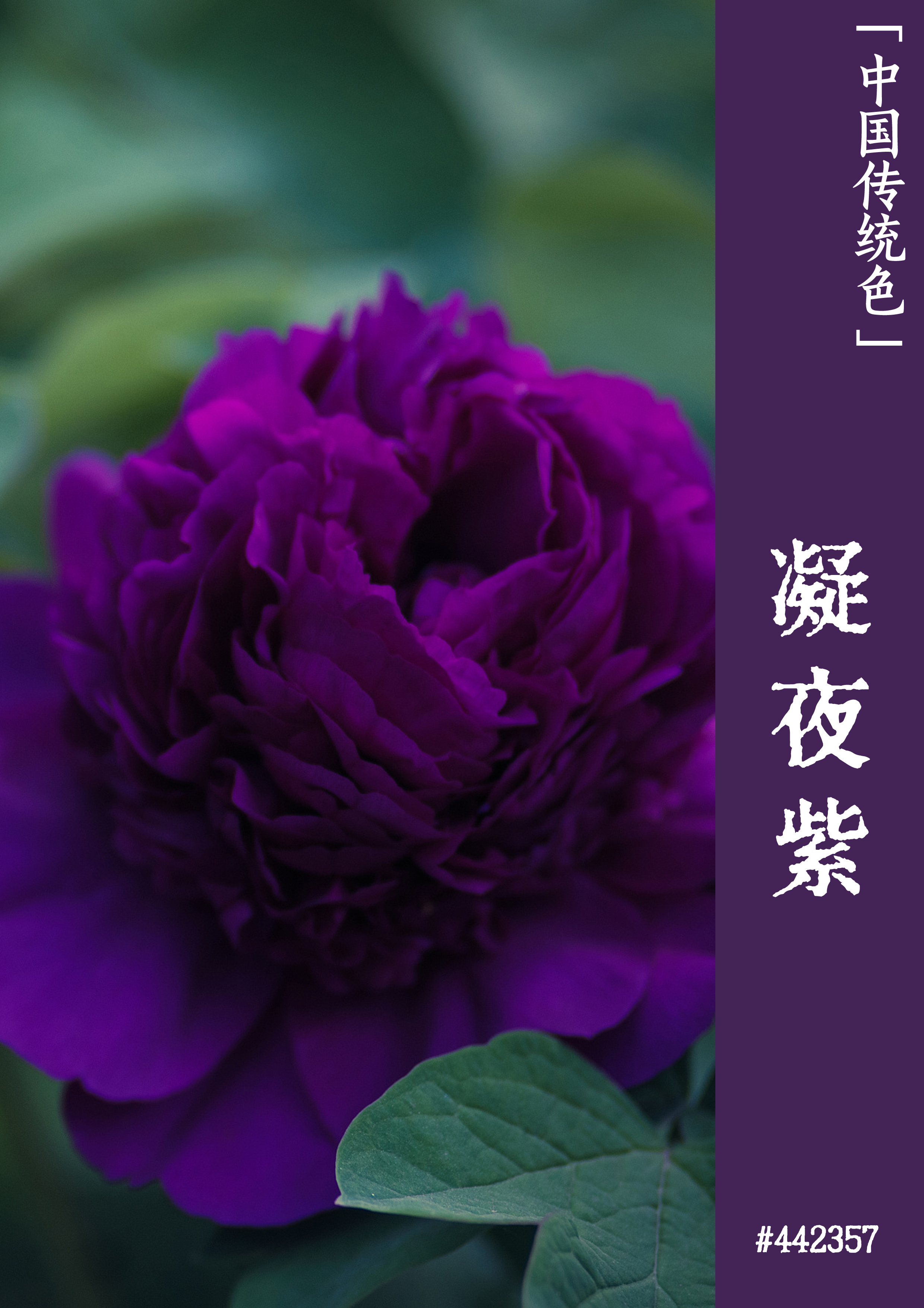 手机怎样玩网页游戏_网页游戏用手机玩_网页玩手机游戏的软件