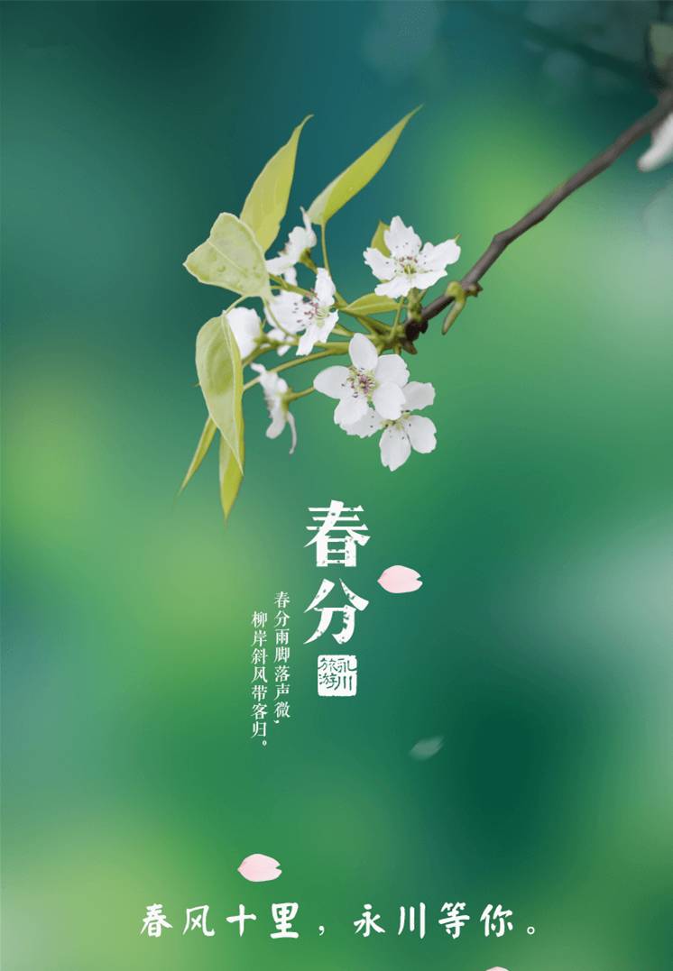 春分花卉绽放_春分花草香的全诗_春分花
