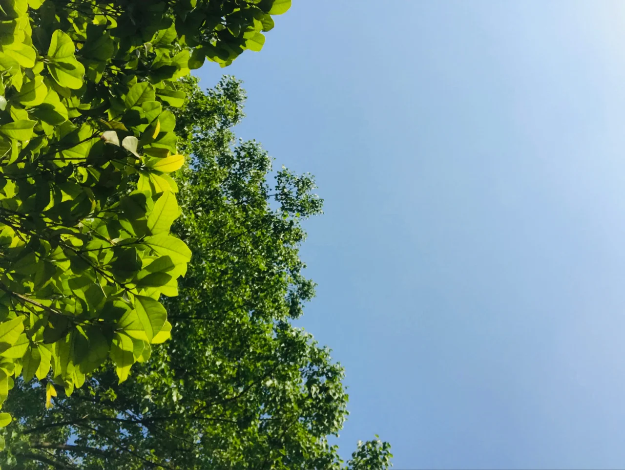赵美森商务模特_五十路母森贵代美_东乡美森