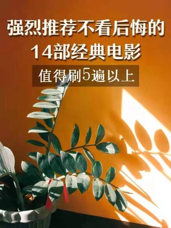 电影罪恶赎金结局_电影罪恶赎金大结局_罪恶赎金电影