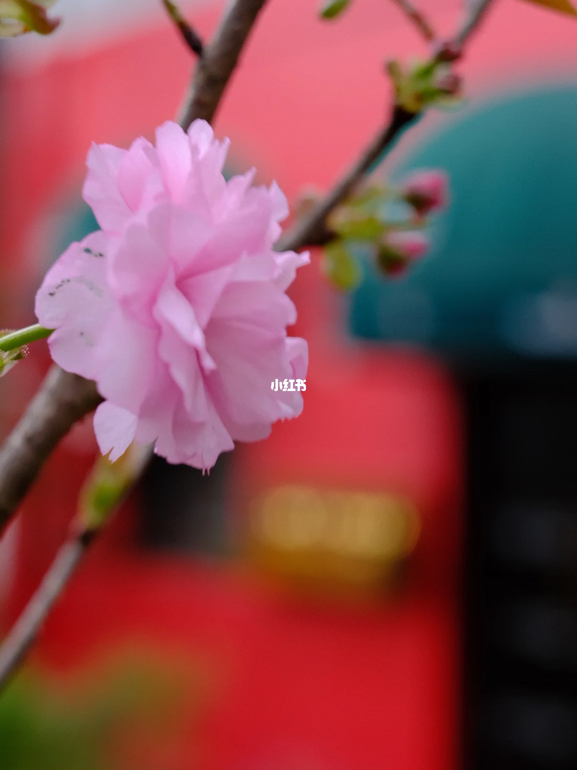 月日年还是日月年_2022年3月_月年2023年