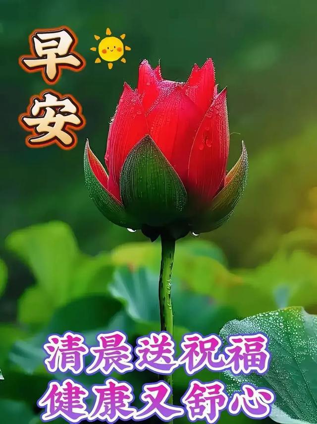 微笑解说手机游戏_解说微笑手机游戏大全_解说微笑手机游戏视频