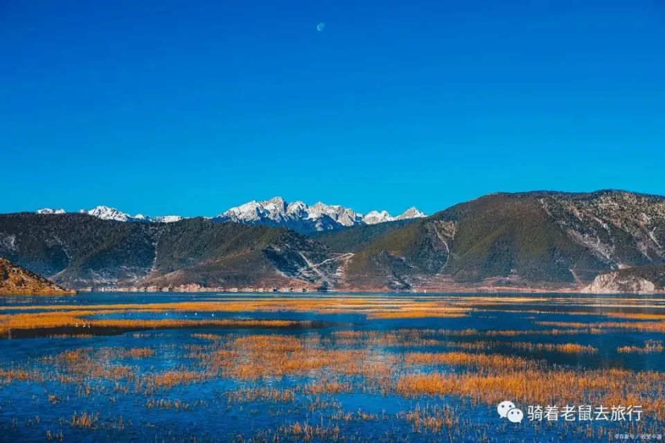 阿夫赛_阿夫赛_阿夫赛